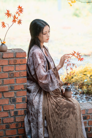 少女的免费高清电视剧